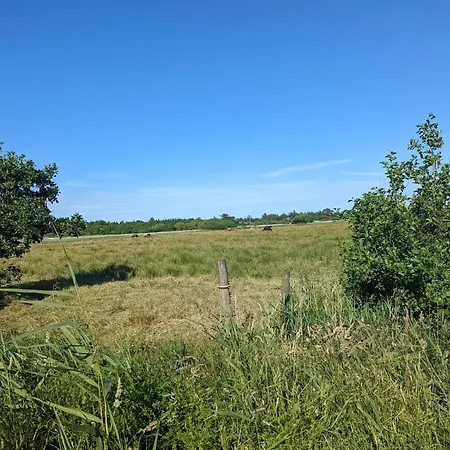 4 Star Holiday Home In Blavand Hébergement de vacances