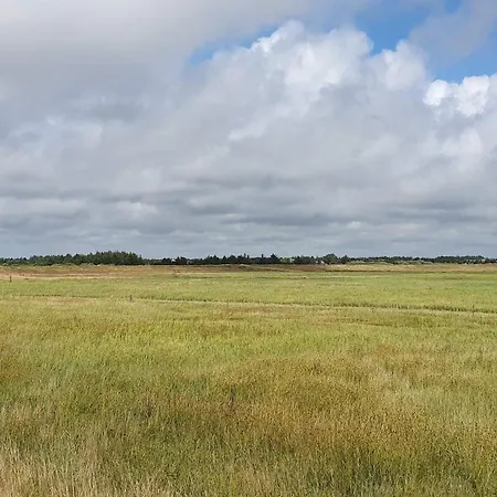 4 Star In * Blåvand